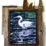 Blue Heron Portrait