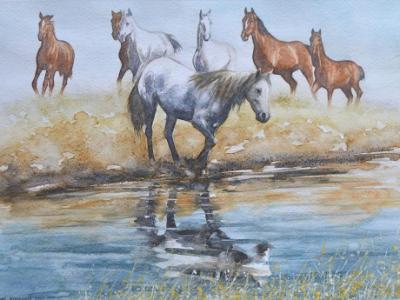 Western horse scene, 35cm x 45cm, 2017 Western horse scene, 35cm x 45cm, 2017