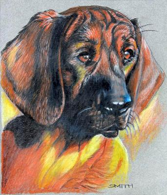 Hound Dog Hound Dog