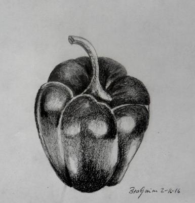 Bellpepper Bellpepper
