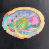 Abalone