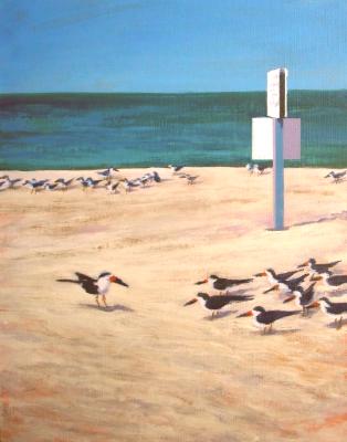 Morning Skimmers Morning Skimmers