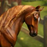Custom Artist Resin -  'Godiva' custom NFS