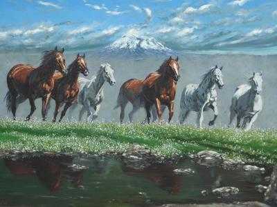 Horses of the Chimborazo mountain, 120cm x 60cm, 2013
