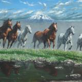 Horses of the Chimborazo mountain, 120cm x 60cm, 2013