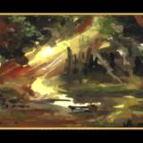 COLOR STUDIES
