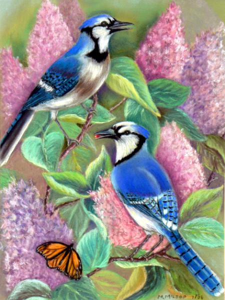 Blue Jays and Lilacs