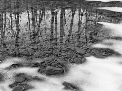 Esopus Creek Thaw B&W Esopus Creek Thaw B&W