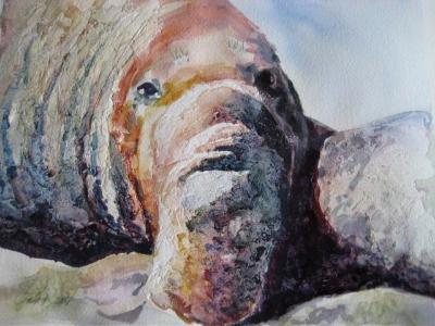 Winning Pose Winning Pose