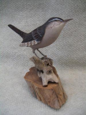 Wren