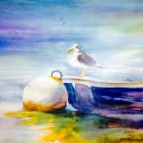 Seagull