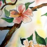 Spring Apple Orchard