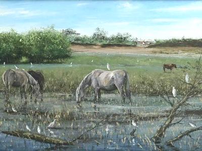 Horses and herons, 120cm x 60cm, 2011