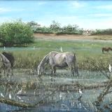 Horses and herons, 120cm x 60cm, 2011