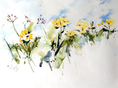 Yellow Wall Flowers Yellow Wall Flowers
