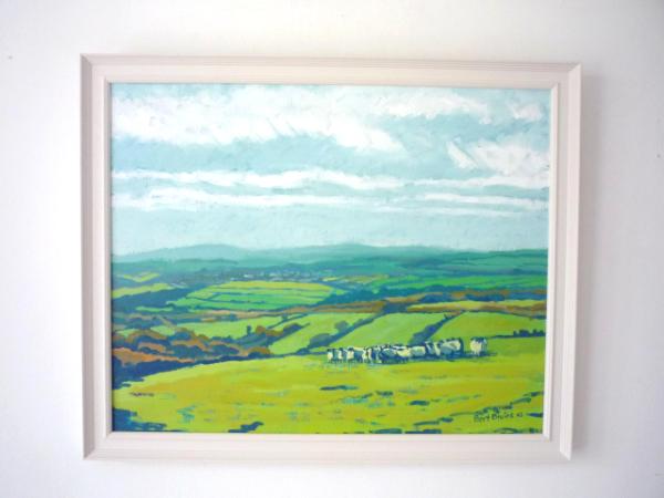 View from the moor to Tavistock