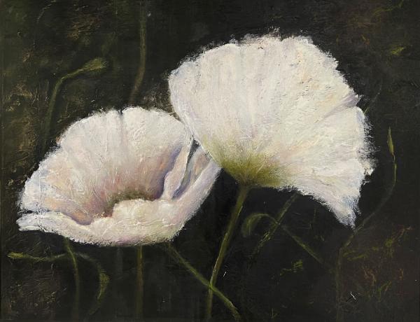 White Poppies