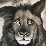 black lion