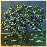 Tree/summer white line lino-cut