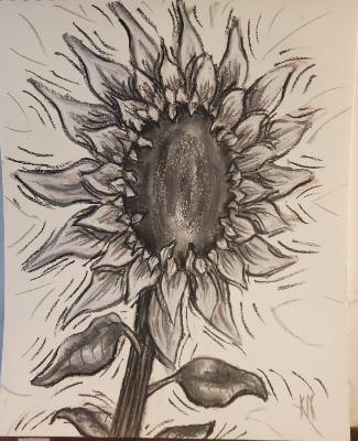 Sunflower in Grayscale 