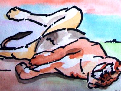 Sleeping Lioness
