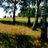 Ural in July