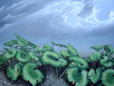 Nature or Nurture Nature or Nurture