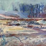 Landscapes Landscapes