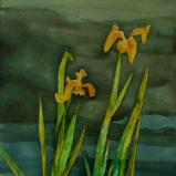 Carla Scheidlinger Watercolors