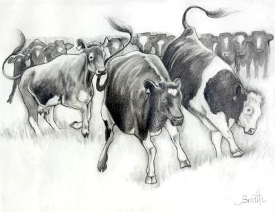Happy Cows Happy Cows