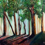 Beyond the Trees