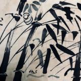 Bamboo 3