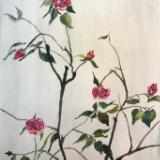 Camellias, Huntington Gardens (sold)