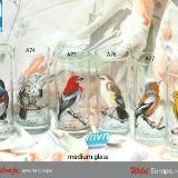 Set of handpainted glasses: BIRDS OF EUROPE