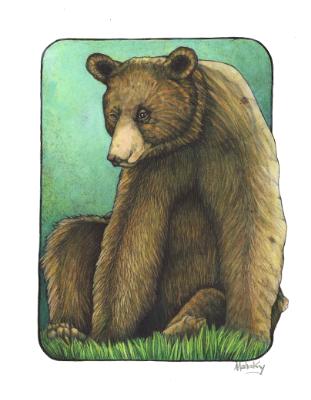 Station bear