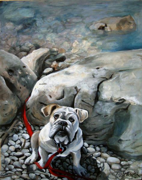 Bulldog nature   
