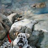 Bulldog nature   