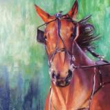 Standardbred