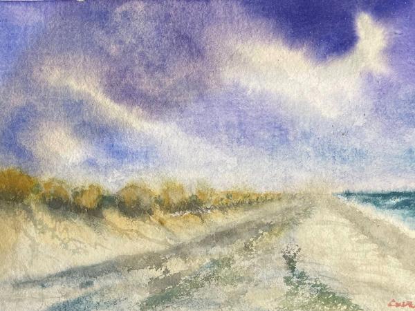 Dorset shore