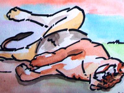 Sleeping Lioness - Water Colours on Paper