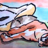 Sleeping Lioness - Water Colours on Paper