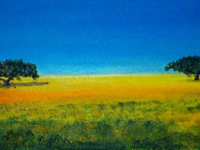 Fields of Alentejo