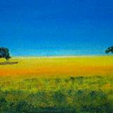 Fields of Alentejo