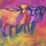 Three Curious Sheep