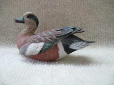 Miniature American Widgeon