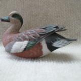 Miniature American Widgeon