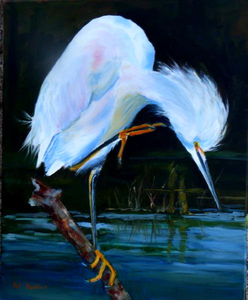 Snowy Egret - oil - 16x20 sold