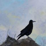 Crow at Tara