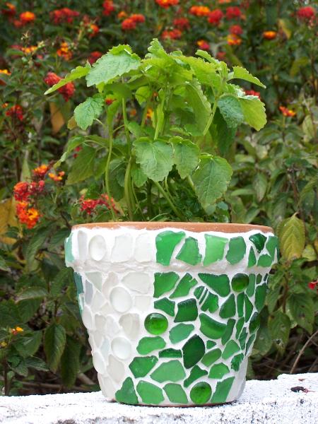 Lemon Balm Sea Glass Pot 6"