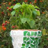 Lemon Balm Sea Glass Pot 6"